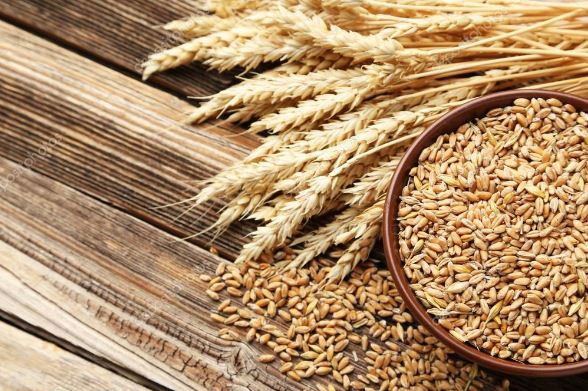 Стартує прийом заяв до Державного реєстру суб’єктів насінництва та розсадництва на 2019 рік