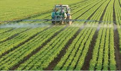 Ступені ризику від провадження господарської діяльності у сферах карантину та захисту рослин