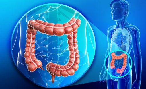 Обережно – псевдотуберкульоз!