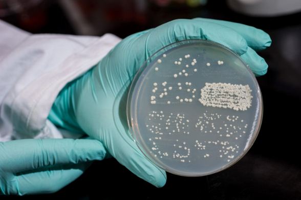 У 2018 році Держпродспоживслужба виявила майже на 40 відсотках перевірених об’єктів порушення санітарного законодавства