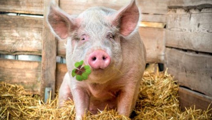 Будьте уважними при постановці діагнозу