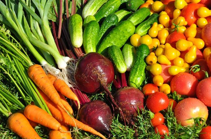 Про що потрібно знати при купівлі насіння овочевих культур