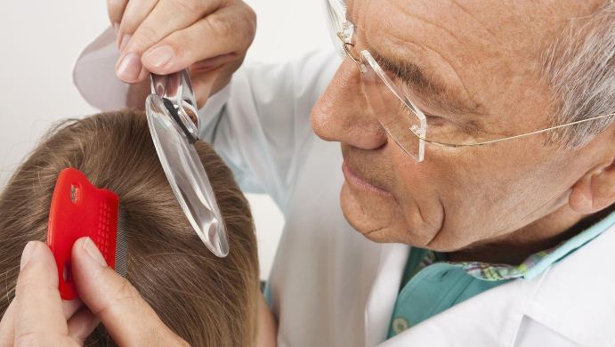 Педикульоз — проблема, яку не можна замовчувати