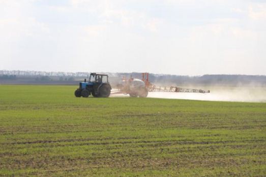 Догляд за посівами після відновлення вегетації