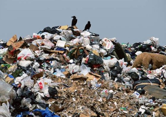 Ліквідація стихійного сміттєзвалища  