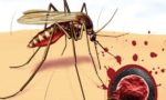 25 квітня – Всесвітній день боротьби з малярією