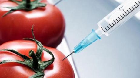 Використання ГМО-сортів сільськогосподарських рослин в Україні