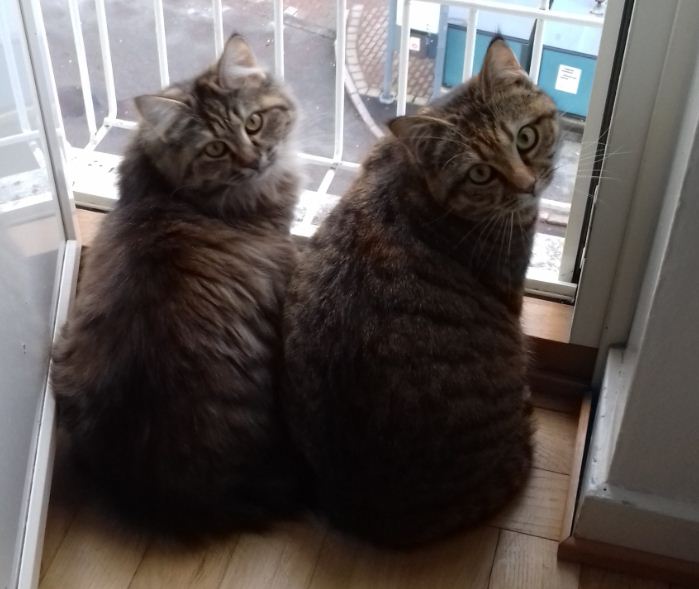 Пригоди «наших» за кордоном