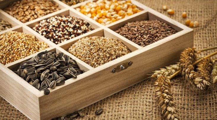 Упаковка насіння як чинник формування іміджу товару