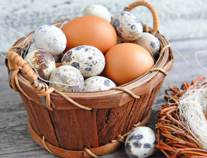 Сальмонельоз: спростовуємо міфи