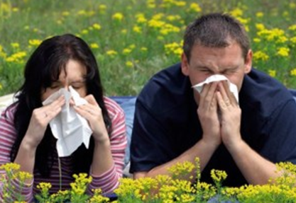 Всесвітній день боротьби проти астми та алергії