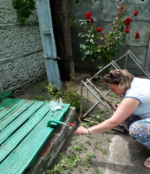 Головне управління Держпродспоживслужби в Херсонській області тримає на контролі санітарно-епідеміологічну ситуацію в смт Нова Маячка