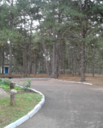 Комісійне обстеження дитячого оздоровчого табору «Орленок» Великоолександрівського району