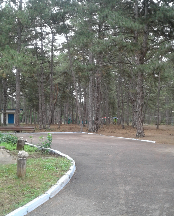 Комісійне обстеження дитячого оздоровчого табору «Орленок» Великоолександрівського району