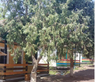 Обстеження табору відпочинку КЗ «Дитячий оздоровчий табір ім.І.Бережного»