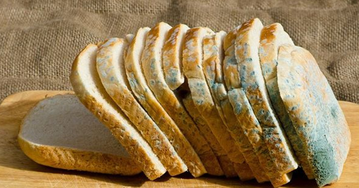 Чи можна їсти продукти із цвіллю