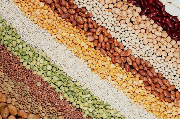 Схожість насіння як фактор, що впливає на майбутній врожай