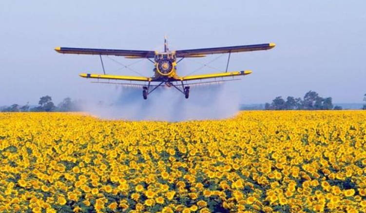 Як провести безпечну десикацію