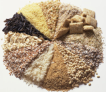 У Новій Каховці проведено моніторинг кормів