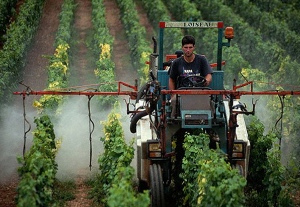 Застосування інсектицидів