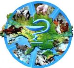 Показники роботи у галузі ветеринарної медицини за 9 місяців поточного року