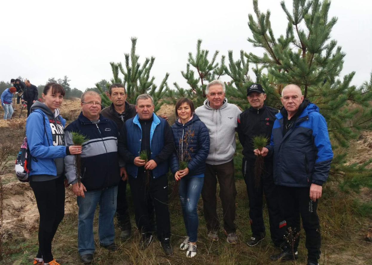 До відновлення Олешківського лісу долучилися співробітники Головного управління Держпродспоживслужби в Херсонській області