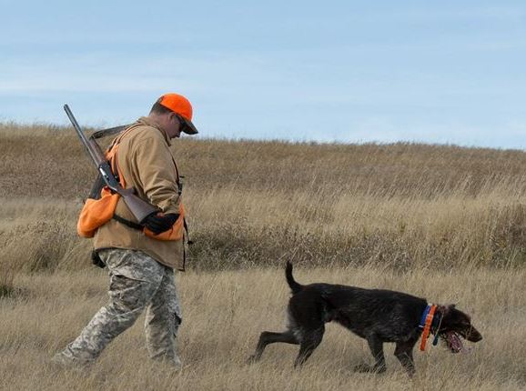 Обстеження мисливських угідь у Новотроїцькому районі