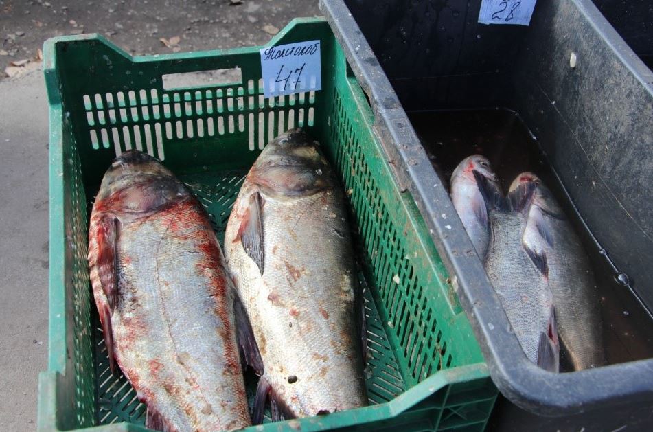 Обстеження місць несанкціонованої торгівлі у Бериславському районі