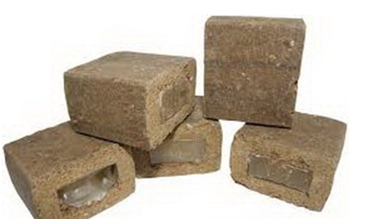 Про проведення пероральної імунізації диких м’ясоїдних тварин проти сказу на території Херсонської області