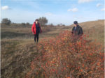 Обстеження мисливських угідь Іванівського району