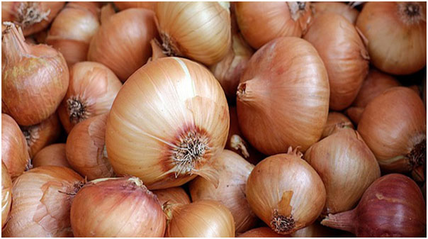 СЕЗОННІ ОВОЧІ: ЦИБУЛЯ РІПЧАСТА