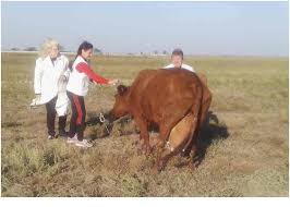 Осіння диспансеризація фахівцями Великоолександрівської районної державної лікарні