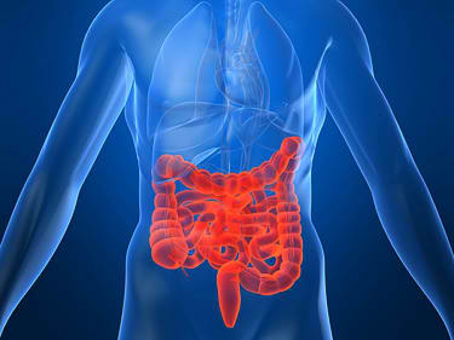 Інформація про захворювання на гострий гастроентерит відвідувачів закладу ресторанного господарства у м. Херсоні