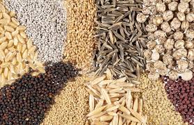 Що стосується маркування і пакування партії насіння