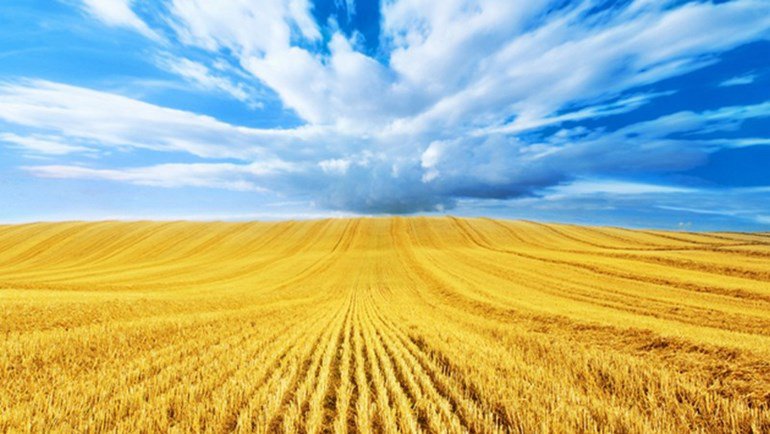 Підсумки  роботи Управління фітосанітарної безпеки Головного управління Держпродспоживслужби в Херсонській області за 2019 рік