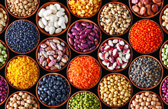 Формування Державного реєстру суб’єктів насінництва та розсадництва на 2020 рік