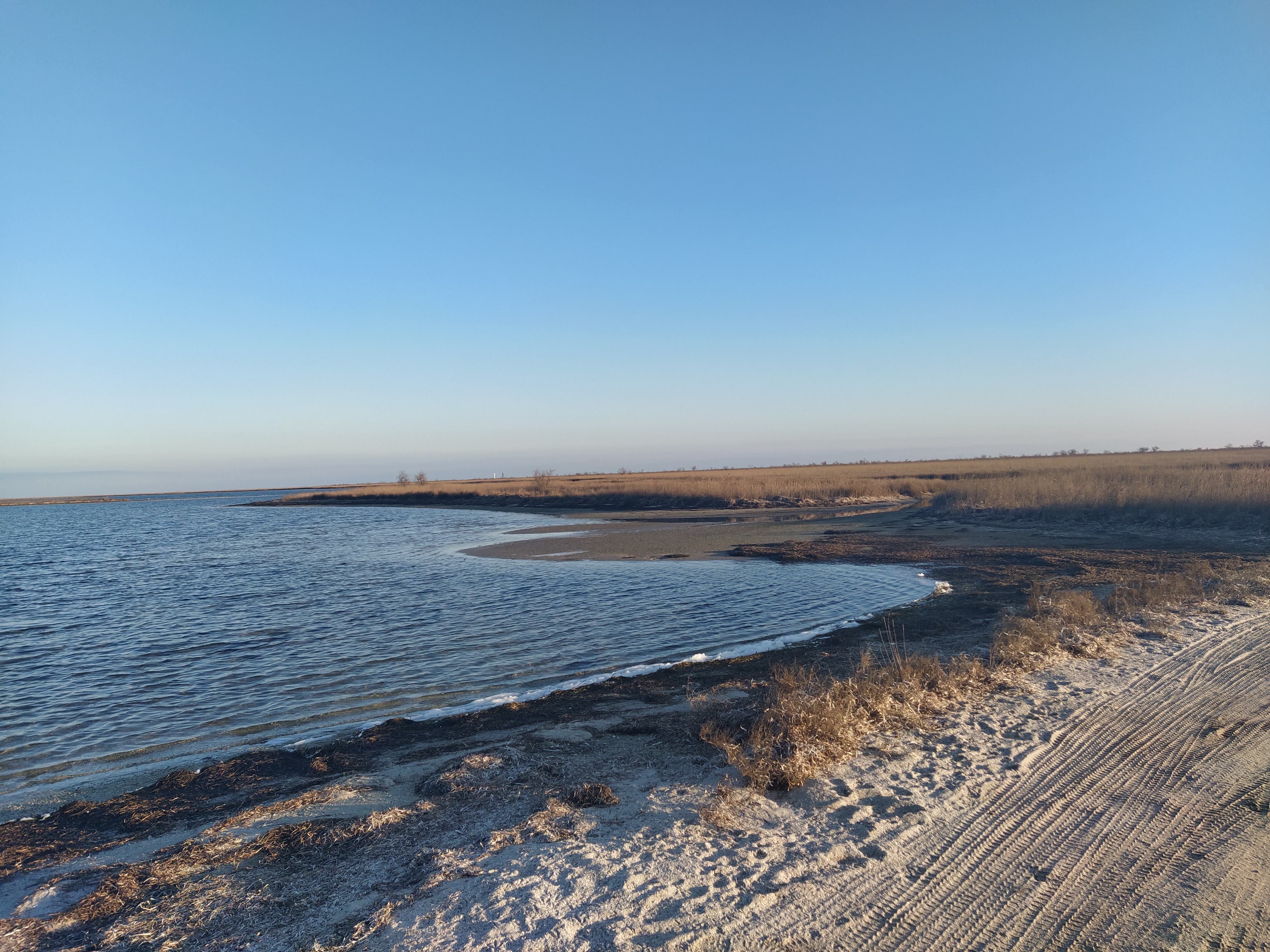 Зимова таксація диких тварин та птахів на острові Джарилгач