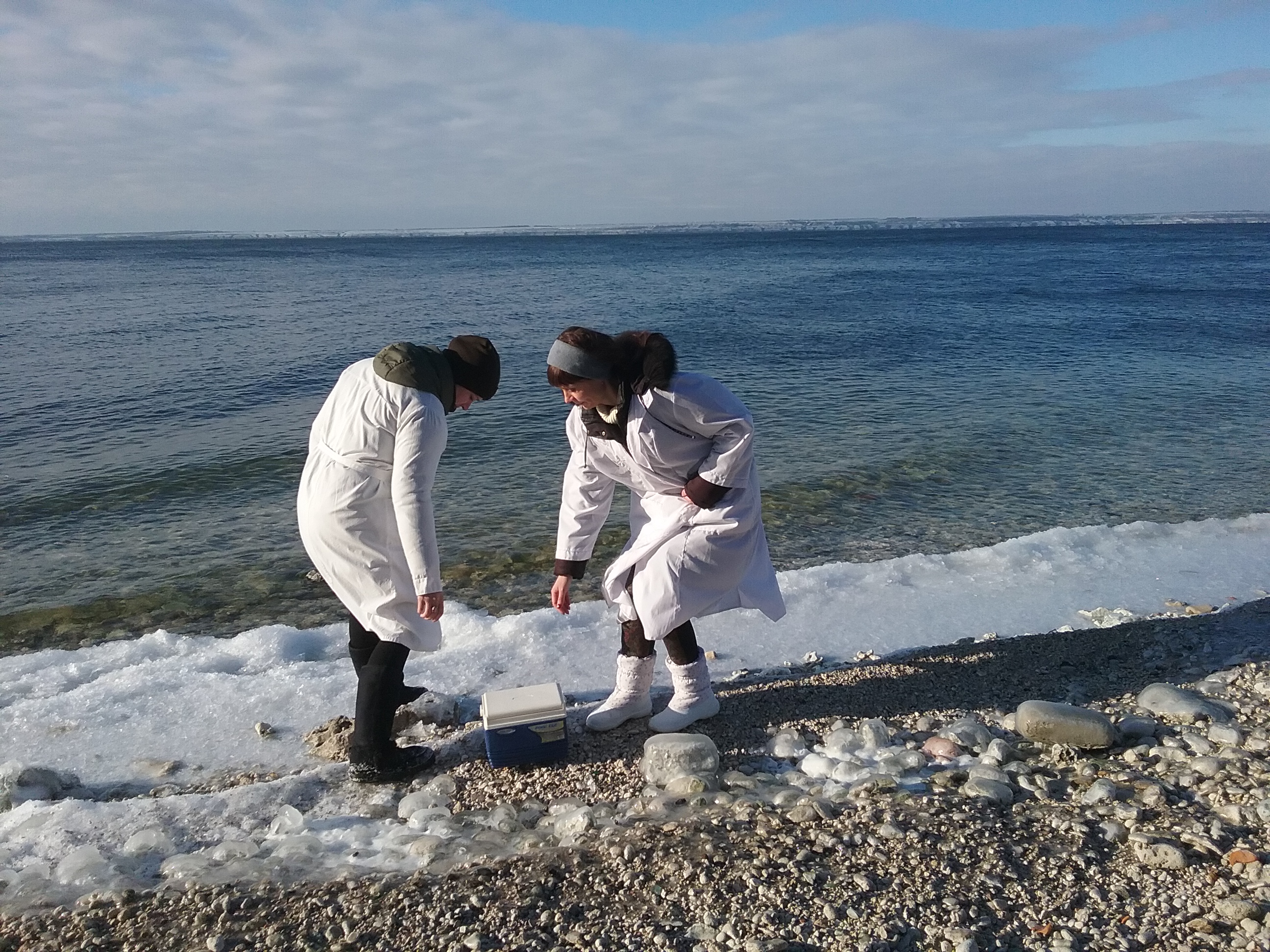 Проведено епізоотичне обстеження прибережної зони Каховського водосховища та мисливських угідь Горностаївського району