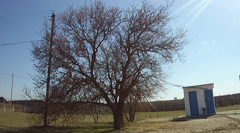 Комісійні перевірки комунальних підприємств Каховського району