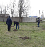 Фахівці Нижньосірогозького районного управління ГУ ДПСС в Херсонській області висадили молоді дуби