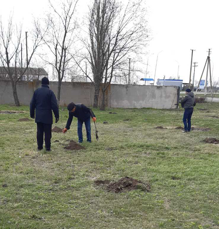 Фахівці Нижньосірогозького районного управління ГУ ДПСС в Херсонській області висадили молоді дуби