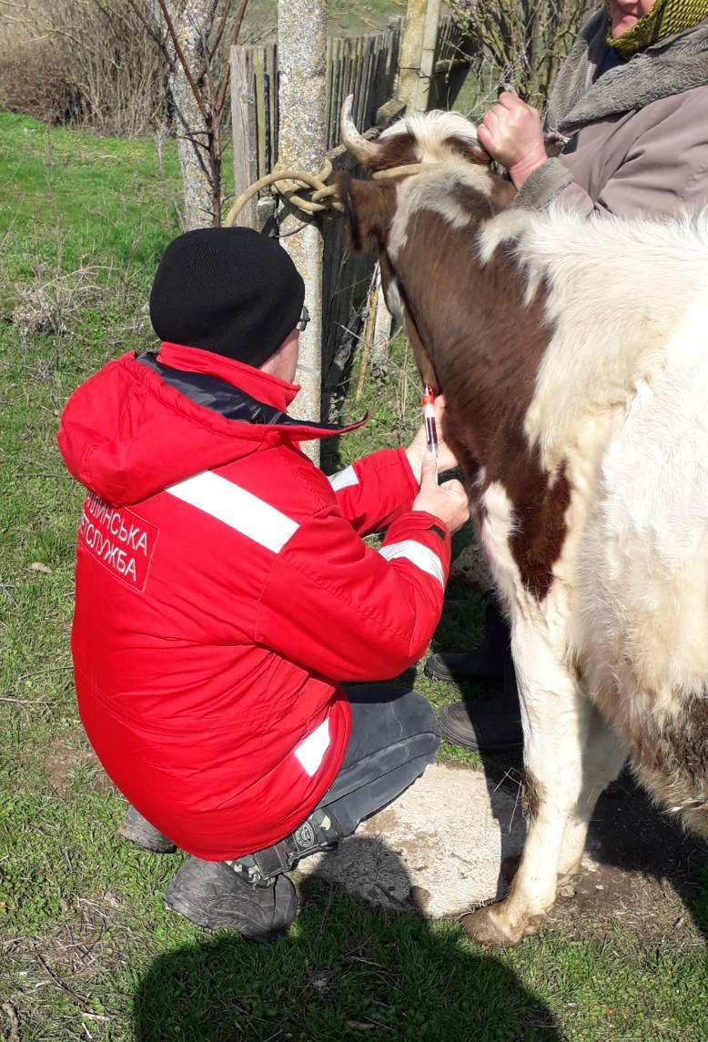 Чаплинська ветлікарня розпочала весняні протиепізоотичні заходи