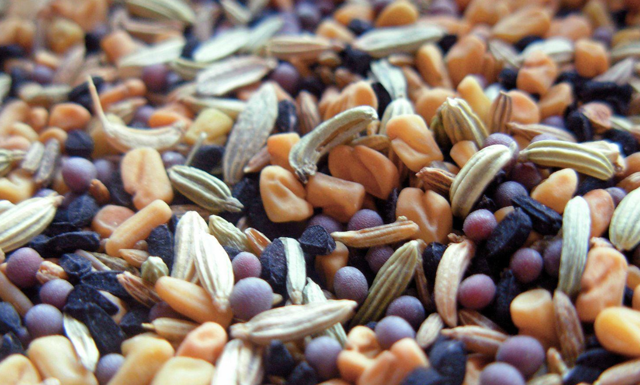 Ввезення насіння та садивного матеріалу  сортів, що не внесені до Державного реєстру сортів та Переліку сортів рослин ОЕСР для селекційних, дослідних робіт та експонування