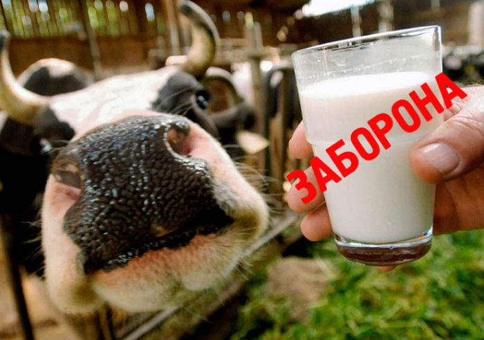 Лейкоз великої рогатої худоби: небезпека для власників корів та споживачів молочної продукції
