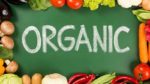 Можливості розвитку органічного виробництва на території Херсонщини