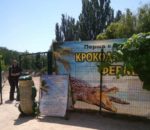 Крокодилова ферма на Арабатці виявилась пересувною виставкою