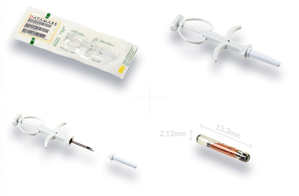 На що необхідно звертати увагу при ідентифікації домашніх непродуктивних тварин