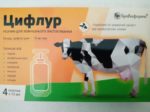 Обробка великої рогатої худоби препаратом “Цифлур”