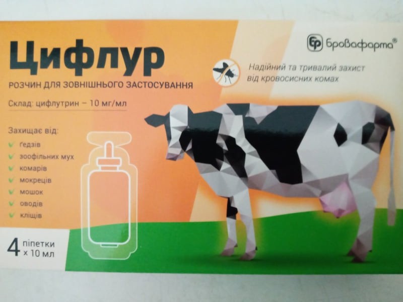 Обробка великої рогатої худоби препаратом “Цифлур”