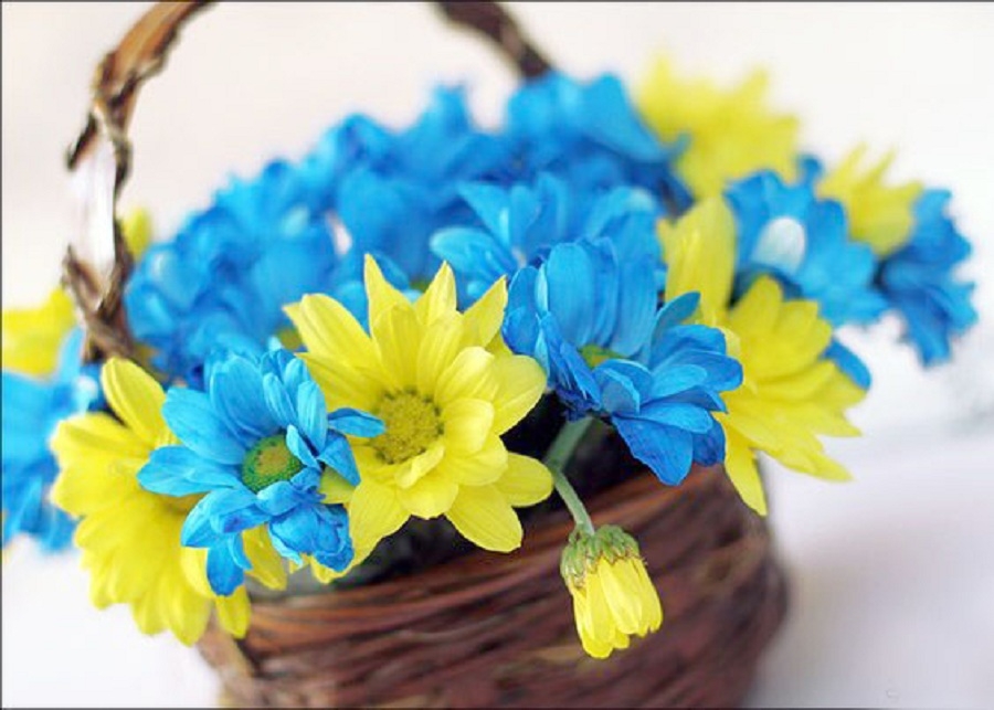 Вітаємо з Днем працівників Державної санітарно-епідеміологічної служби України!